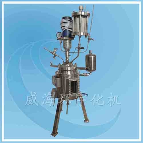 上海玻璃視窗反應(yīng)釜