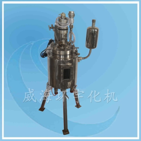 上海玻璃視窗反應(yīng)釜