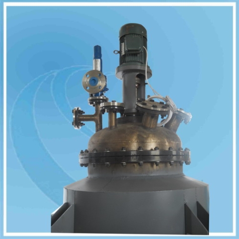 上海200L Pilot Reactor