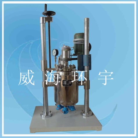上海5L Lift and Flip  Reactor