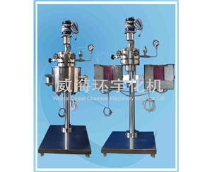 上海0.05L High- pressure  Reactor