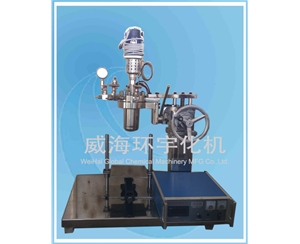 上海0.5L Laboratory Reactor