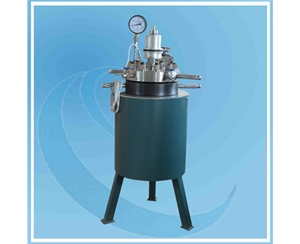 上海實驗室反應釜