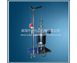 上海30L電機(jī)直聯(lián)升降反應(yīng)釜